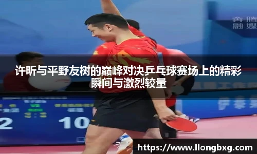 许昕与平野友树的巅峰对决乒乓球赛场上的精彩瞬间与激烈较量